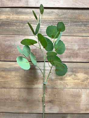Fresh Touch Silver Dollar Eucalyptus Stem