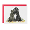 Newfoundland and Labrador Card