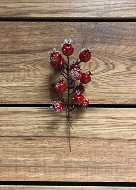 Red Iced Cranberry Pick