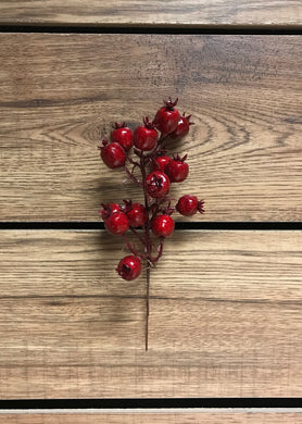 Red Cranberry Pick