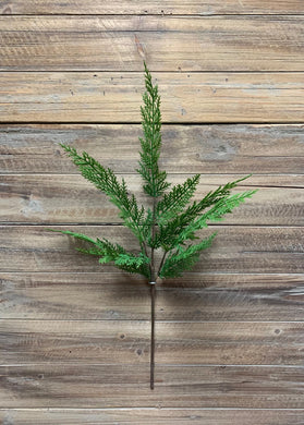 Sequoia Cypress Spray