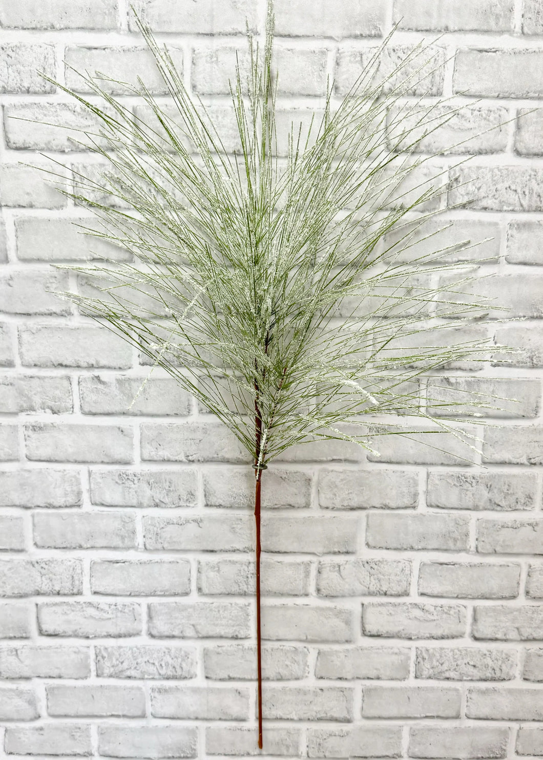 Snowy Long Needle Pine Spray