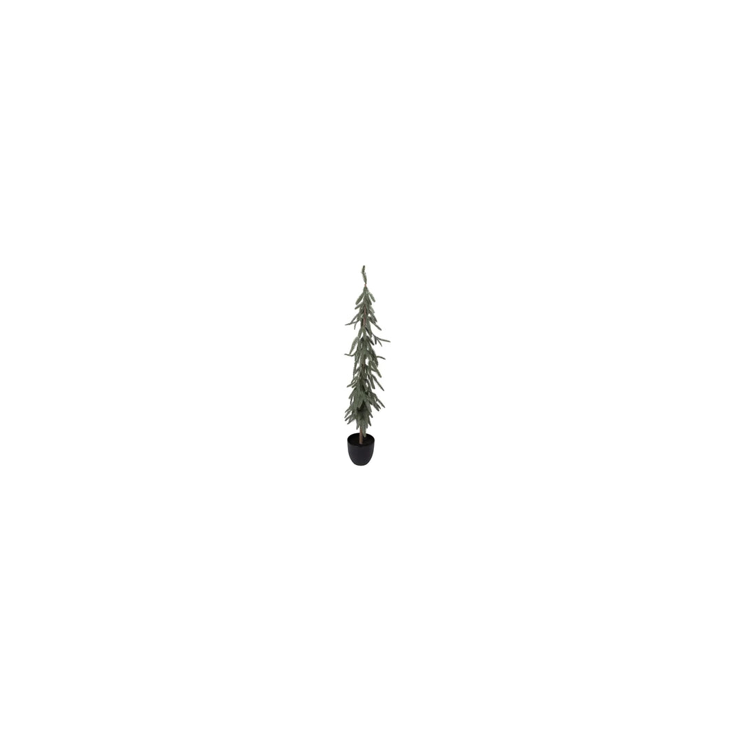 Slim Fir Potted Tree Large