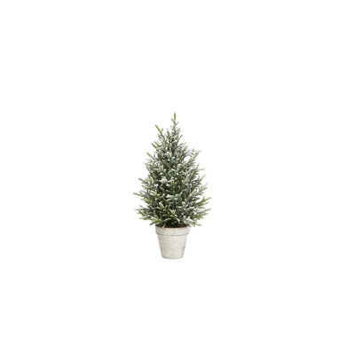 Snow Fern Tree Medium Green