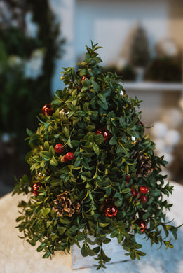 Boxwood Christmas Tree