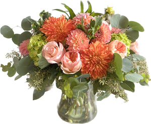 Dahlia Dreams