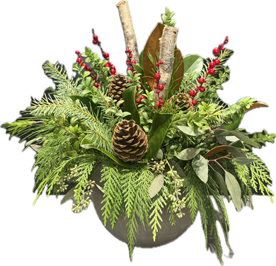 Birch`s Berries Indoor Christmas Planter