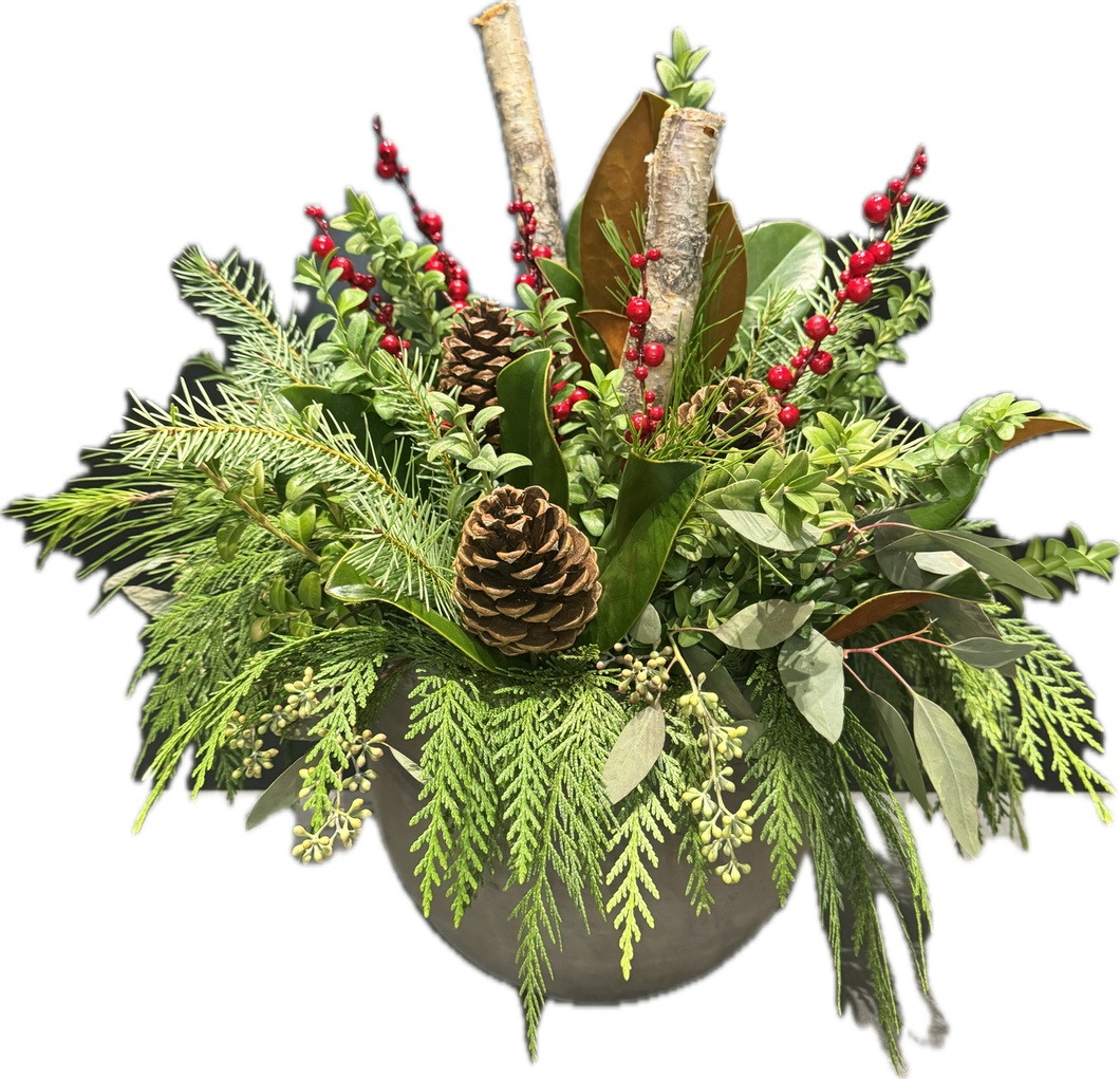Birch`s Berries Indoor Christmas Planter