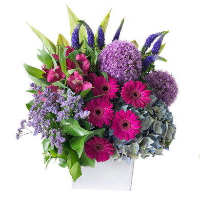Summer arrangement featuring purple allium flowers, fuschia gerbera daisies, blue hydrangea, and purple veronica arranged in a ceramic white vase in Flower Studio signature style.