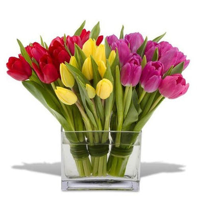 Classic tulips arranged in a clear glass vase and available for flower delivery in St. John's by Flower Studio