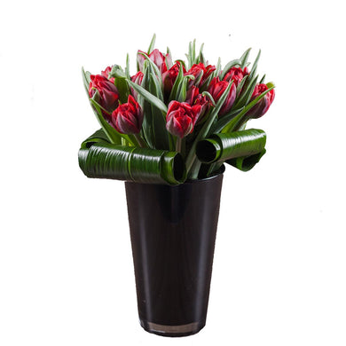 20 stems of premium red tulips arranged with aspidistra leaf wraps in a tall, shiny black vase in Flower Studio signature style.
