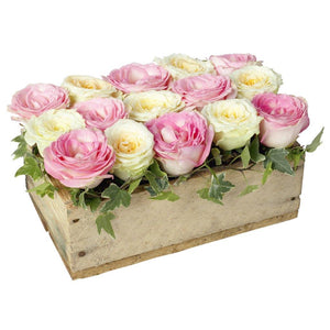 Low, compact flower arrangement featuring 15 pink and white roses arranged in a rectangular wooden container by Flower Studio.