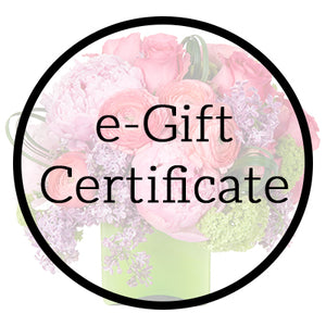 E-Gift Card