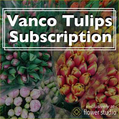 Weekly Vanco Tulip Subscription