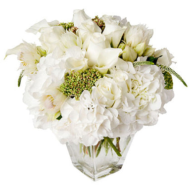 christmas holiday flowers featuring white hydrangeas, roses, calla lilies and greenery arranged in flower studio signature style in a clear glass vase.
